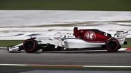Sauber